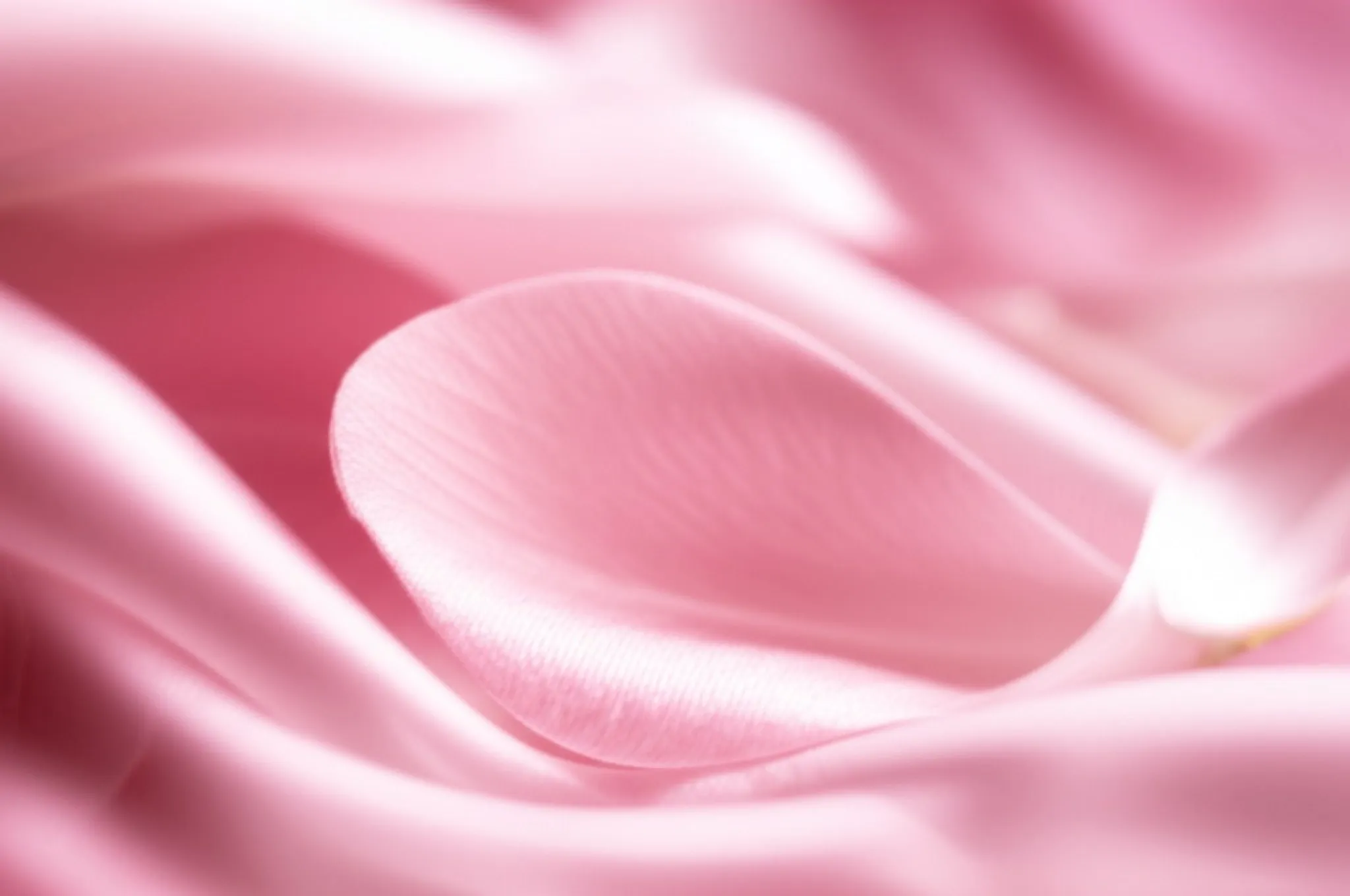 Himenoplastia em Londrina